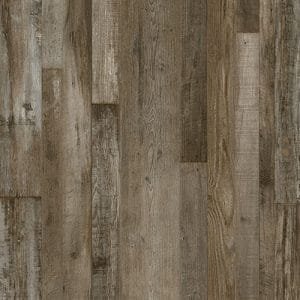 Petrified Forest Lite